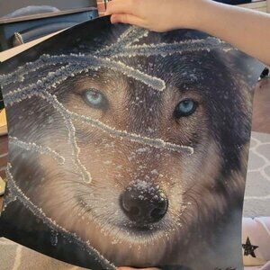 18x18" Wolf Poster